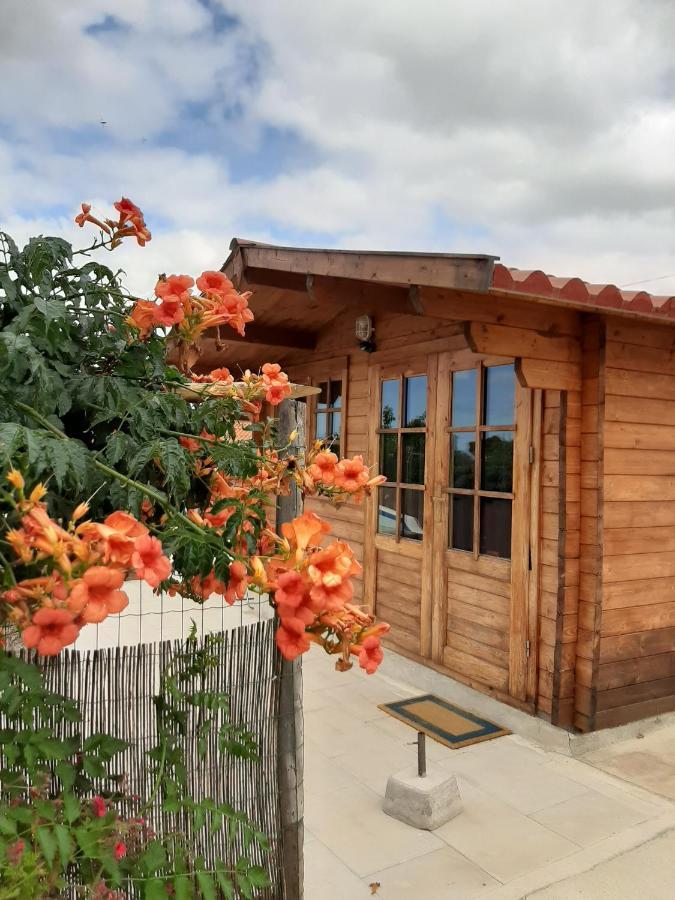 Grândola Quinta Do Pinheiro酒店 外观 照片